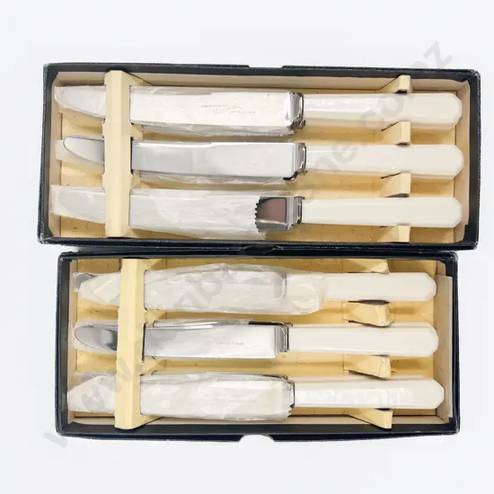 As New Boxed Table & Entree Knives