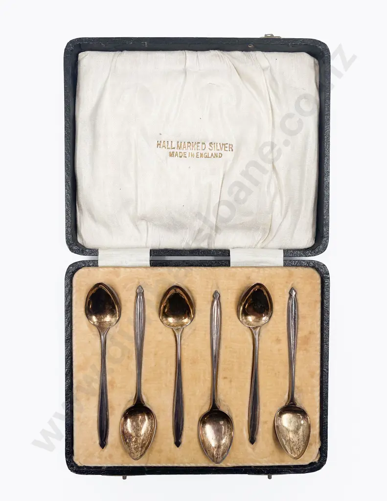 Cased S/S Coffee Spoons Image 1++