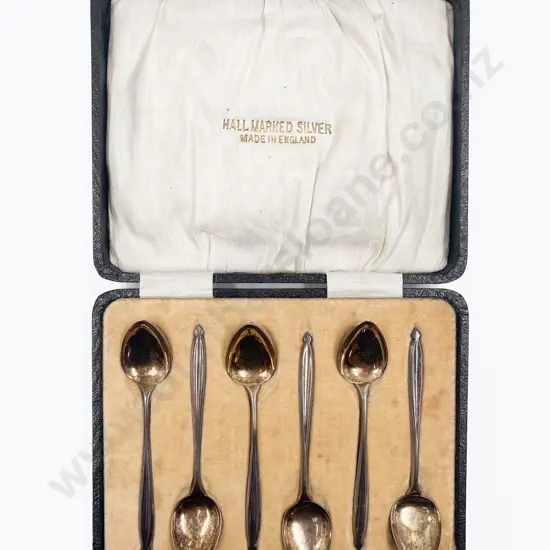 Cased S/S Coffee Spoons