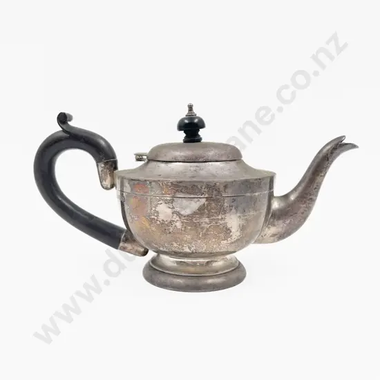 S/S Bachelor's Teapot