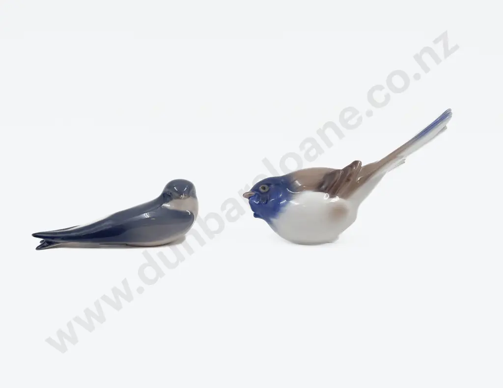 B & G Bird & Other Image 1++