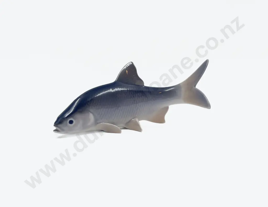 Royal Copenhagen Fish Image 1++