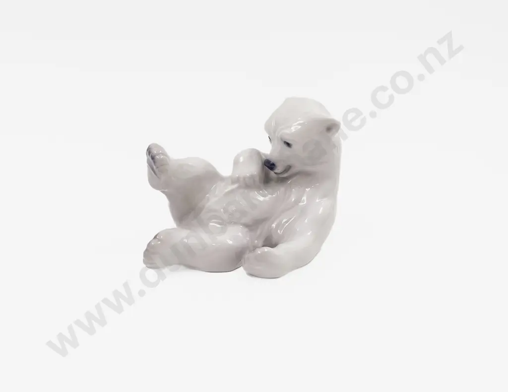 Denmark Copenhagen Polar Bear Image 1++