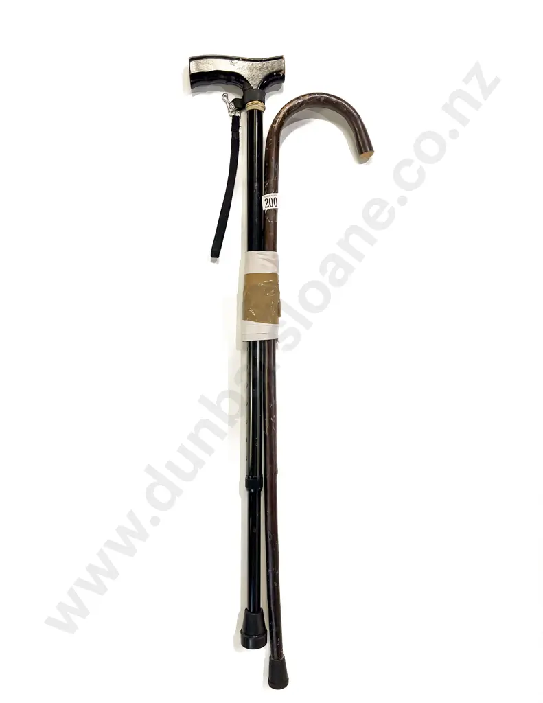Two Vintage Walking Sticks Image 1++