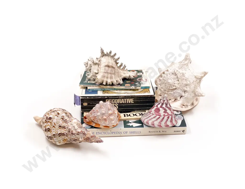 Five Assorted Shells together with Quantity of Shell Reference Books Image 1++