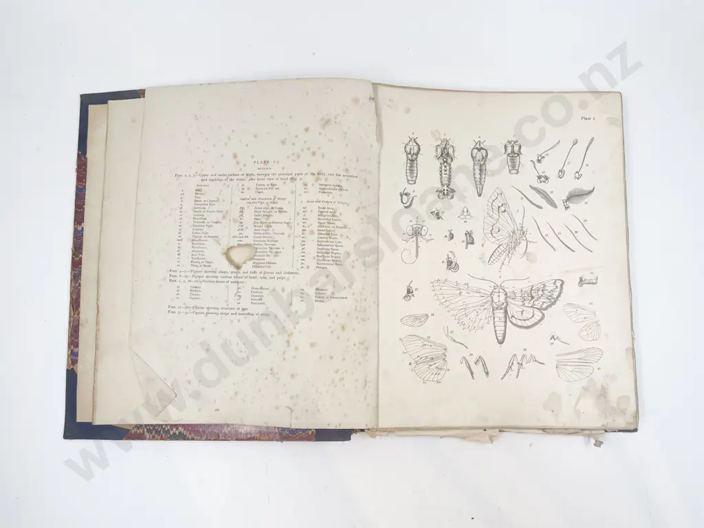 Vintage Insects & Botanical Reference Volume filled with Assorted Bookplates Image 1++