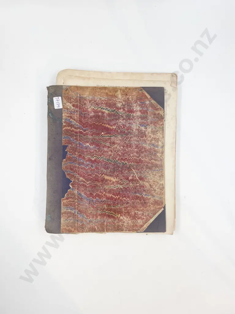 Vintage Insects & Botanical Reference Volume filled with Assorted Bookplates Image 1++
