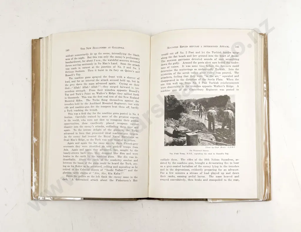 The New Zealanders In Palestine & The New Zealanders At Gallipoli (2) Image 1++