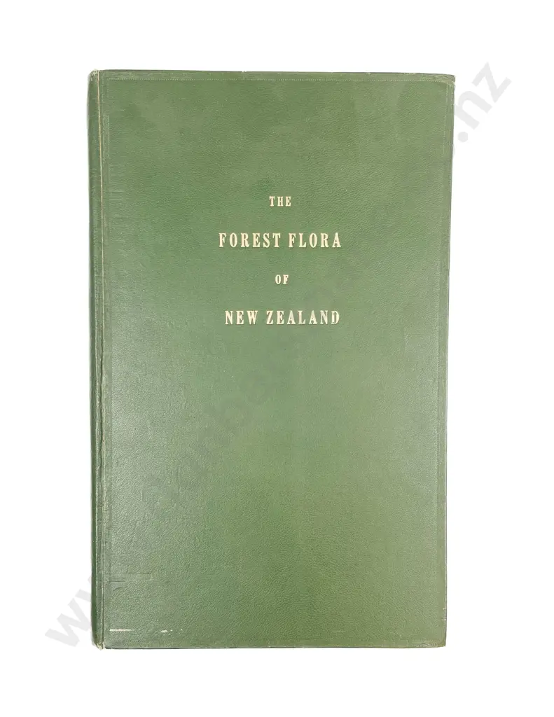 Kirk Thomas - The Forest Flora of New Zealand Image 1++