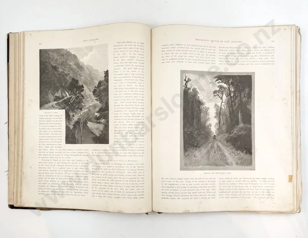 The Picturesque Atlas Of Australasia Vo III 1886 Image 1++