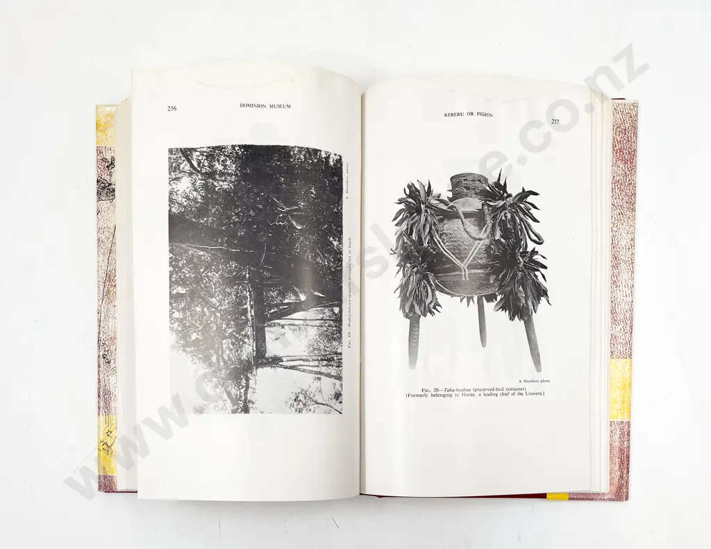 3 Elsdon Best Maori Related Volumes Image 1++