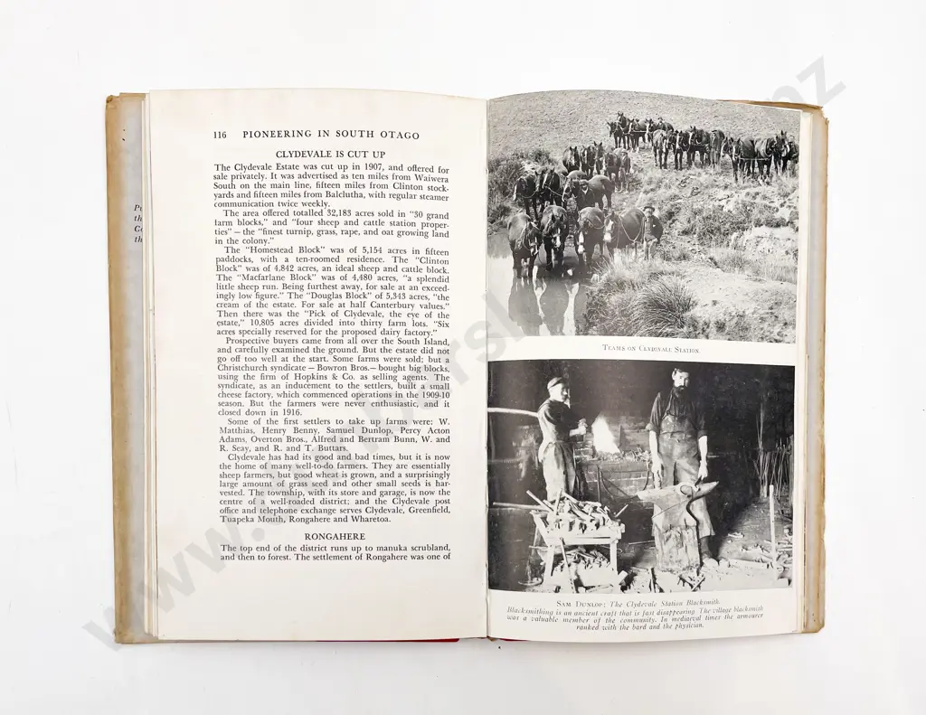 5 Various Otago Related Volumes Image 1++