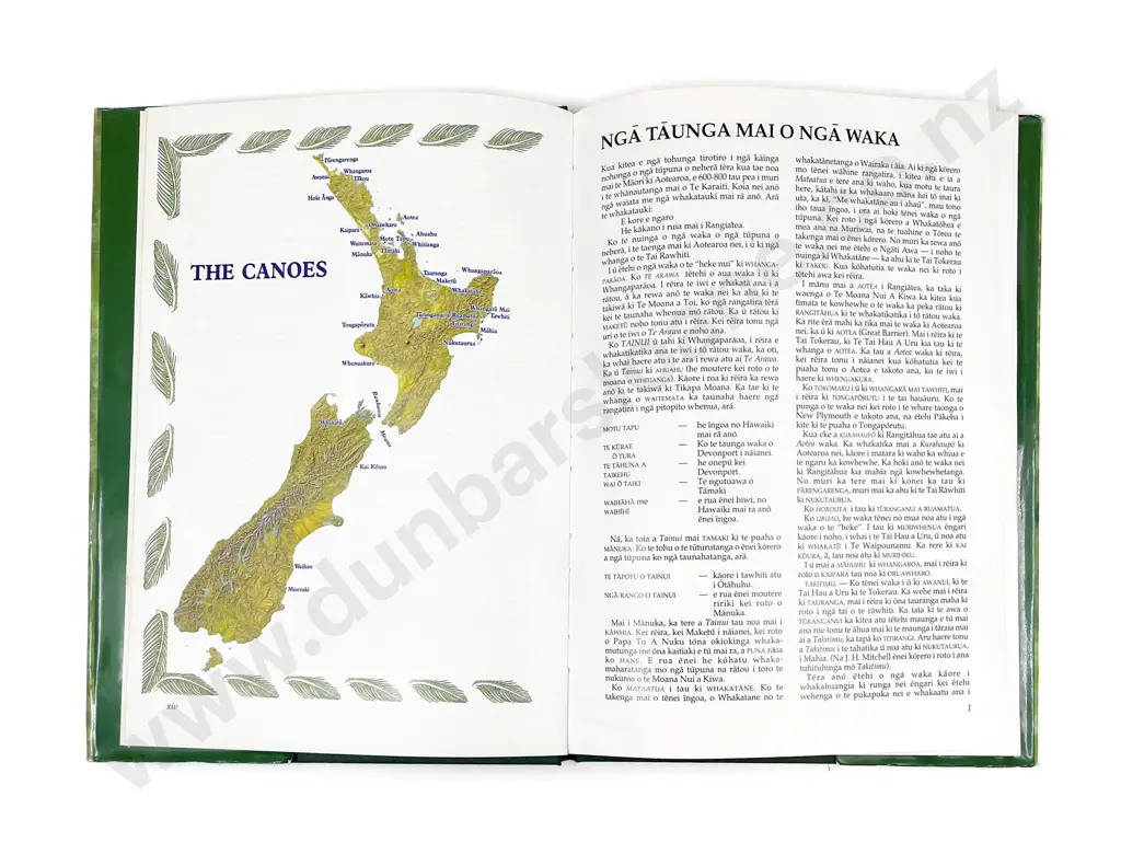 Best Elsdon - Maori Agriculture Image 1++
