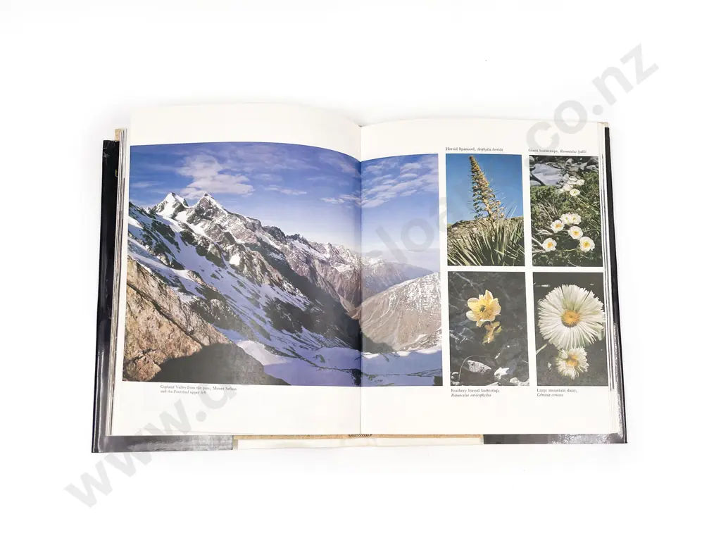 4 Modern Volumes On NZ Exploration Image 1++