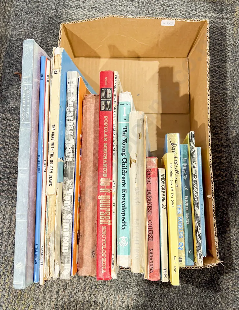Box of Assorted Books Image 1++