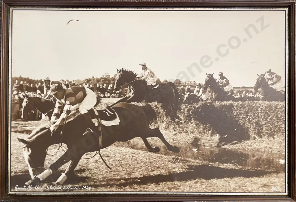 Whites Aviation - Great Northern Steeples Ellerslie 1948 Image 1++