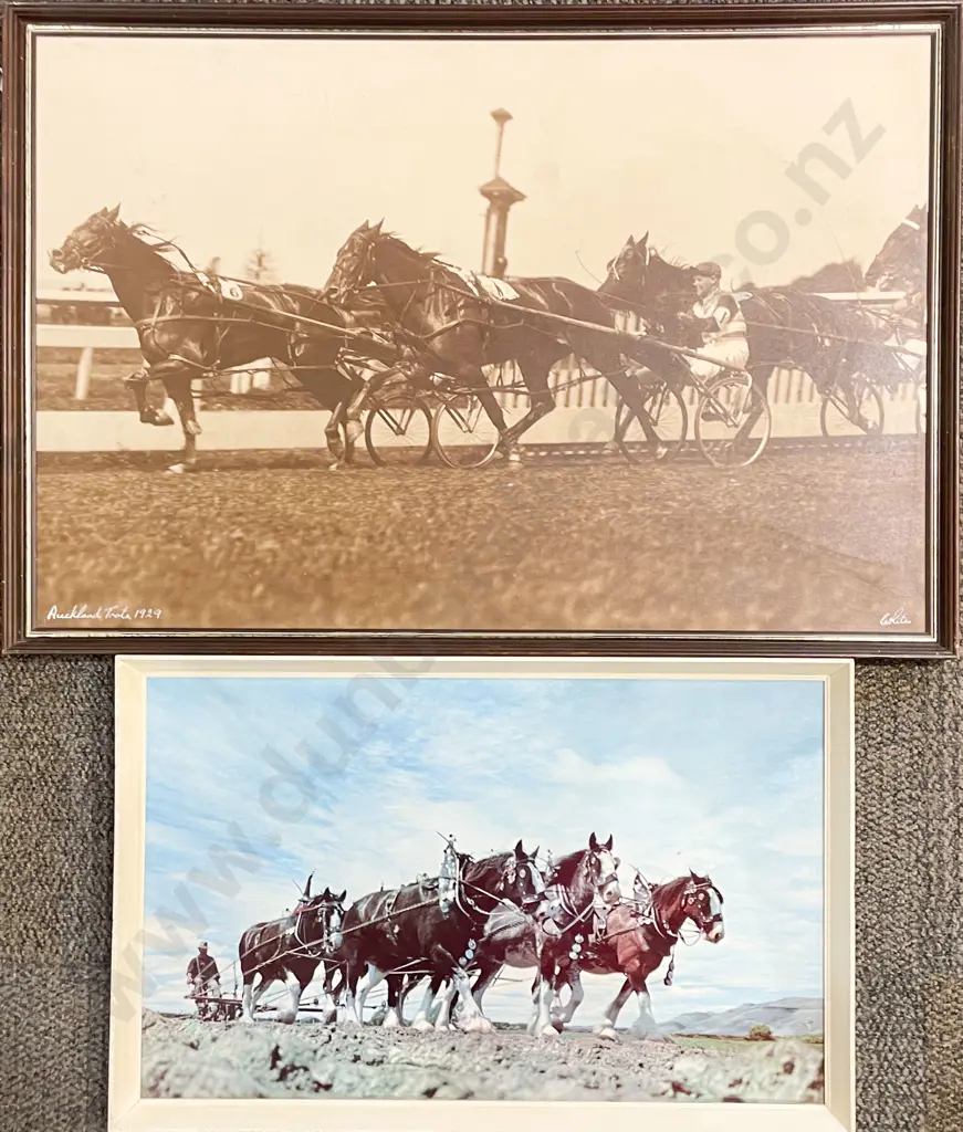 Whites Aviation - Auckland Trots 1929 Image 1++