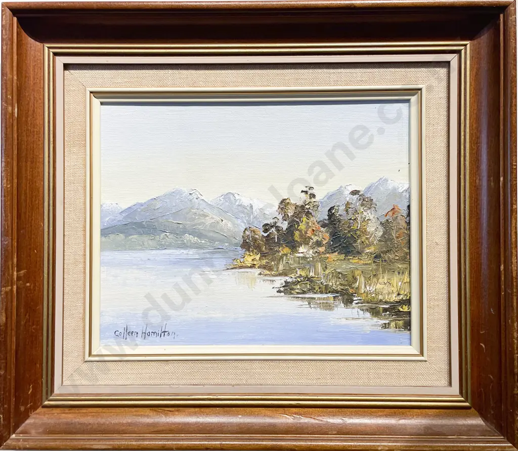 Colleen Hamilton - "Lake Caniere Westland" - Oil on Board Image 1++