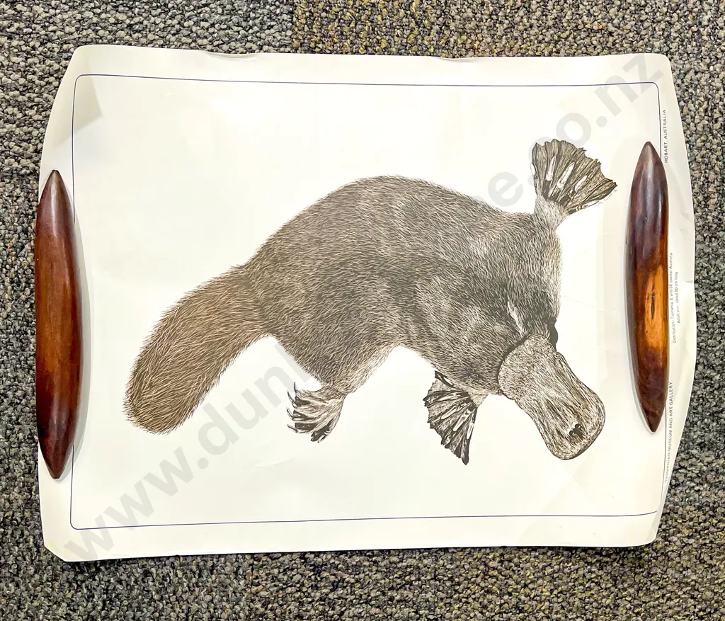 Quantity of Assorted Unframed Artworks incl Education Posters Asian Scrolls etc Image 1++