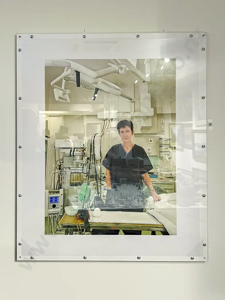 Karen Smith - "All Woman" - Photographic Work in Perspex Casing Image 1++
