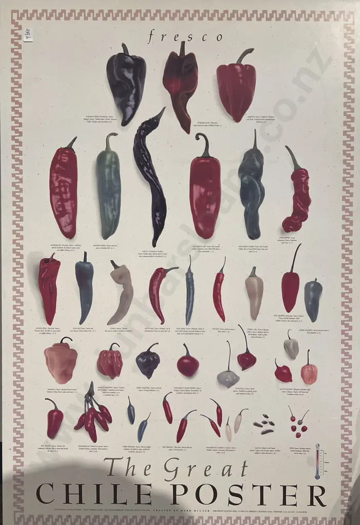 Three Assorted Prints Image 1++