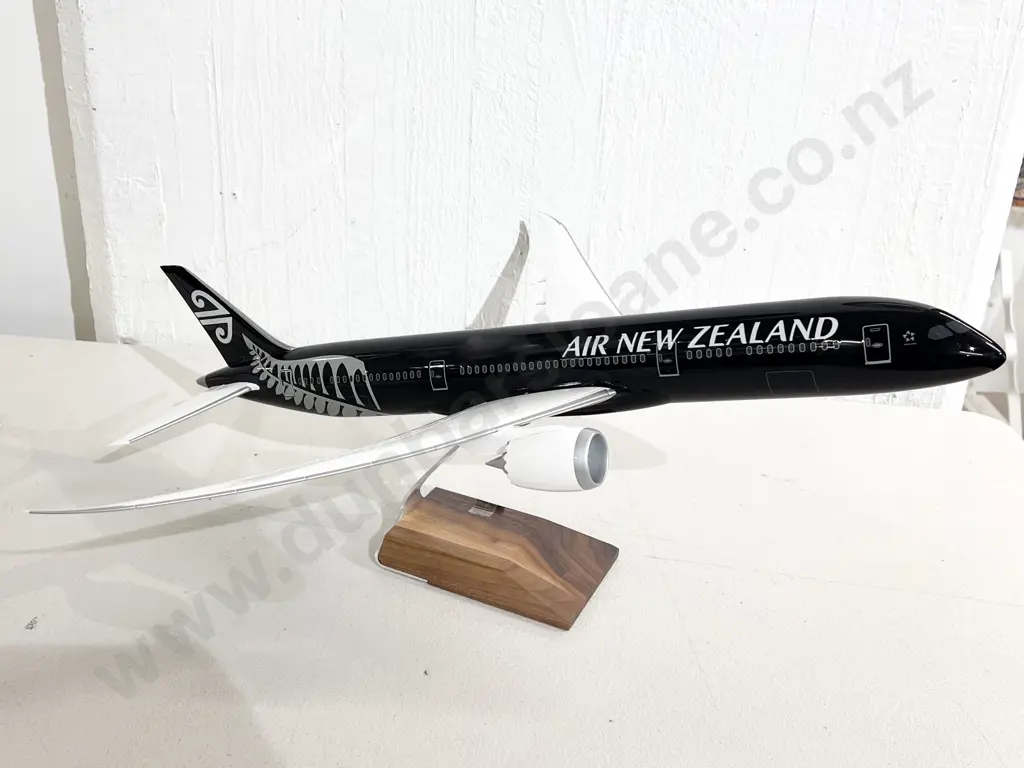 Pacmin Model Airplane Image 1++