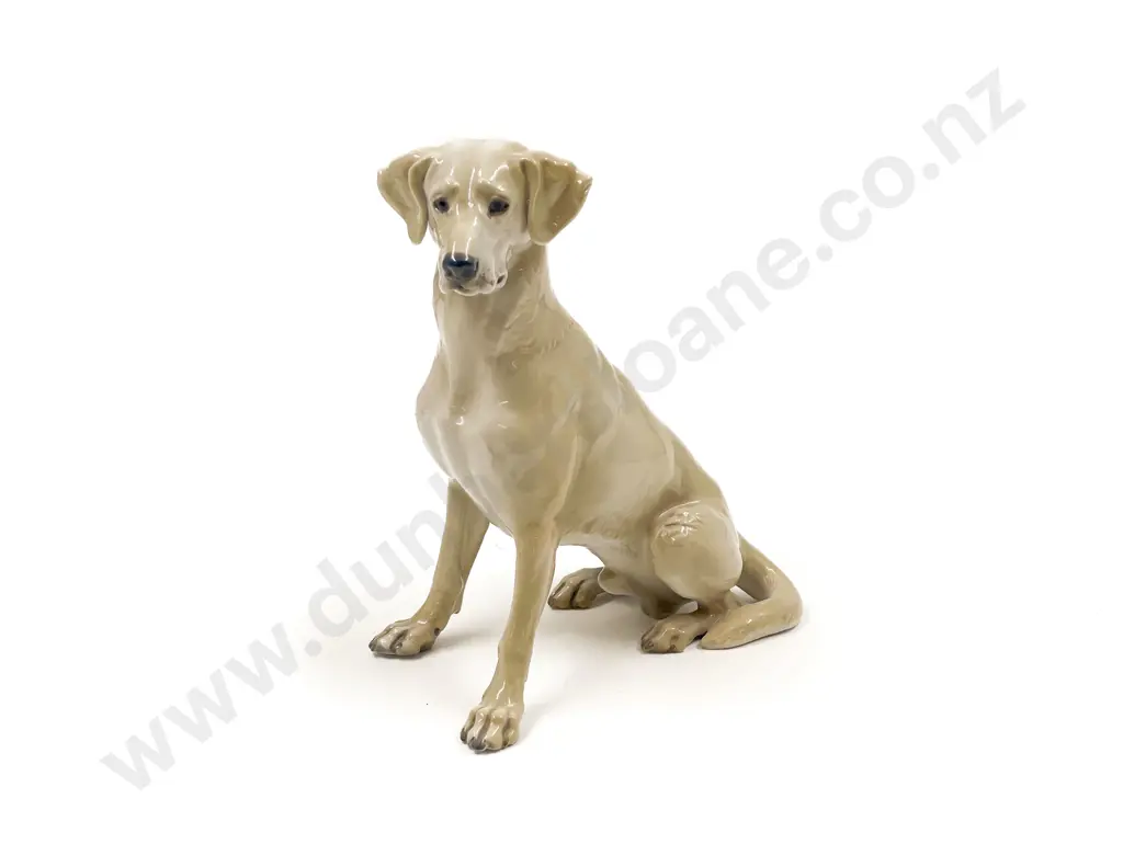 Rosenthal Dog Image 1++
