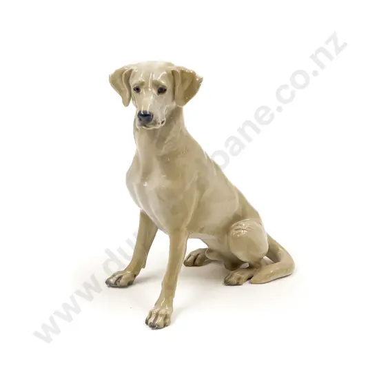 Rosenthal Dog