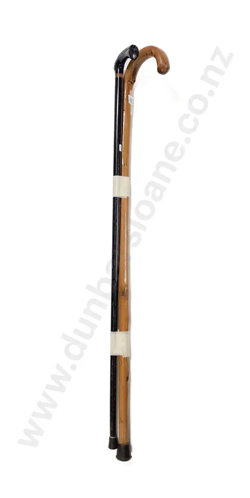 Two Walking Sticks Image 1++
