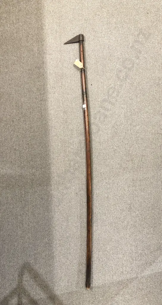 Japanese Fire Pike Image 1++