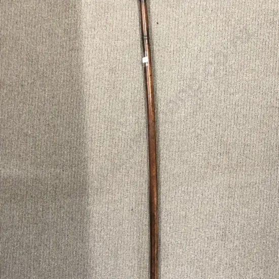 Japanese Fire Pike