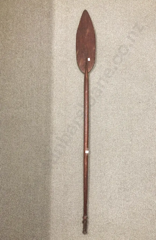 Fijian Paddle Image 1++