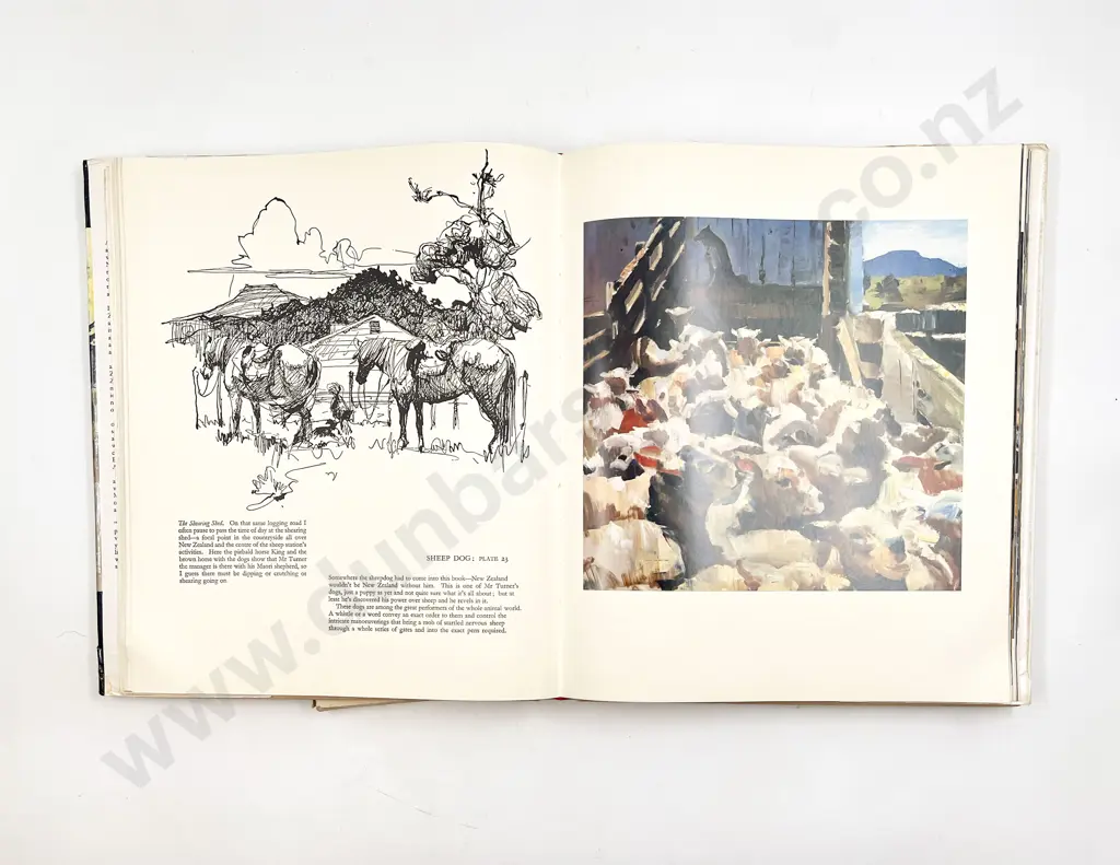 Peter McIntyre's New Zealand together with Watercolours of Italy Image 1++