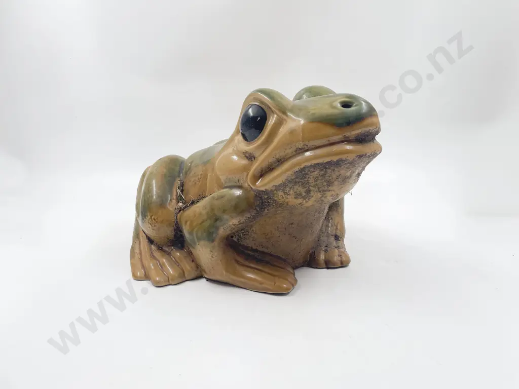 Claytan Large Glazed Stoneware Frog Image 1++