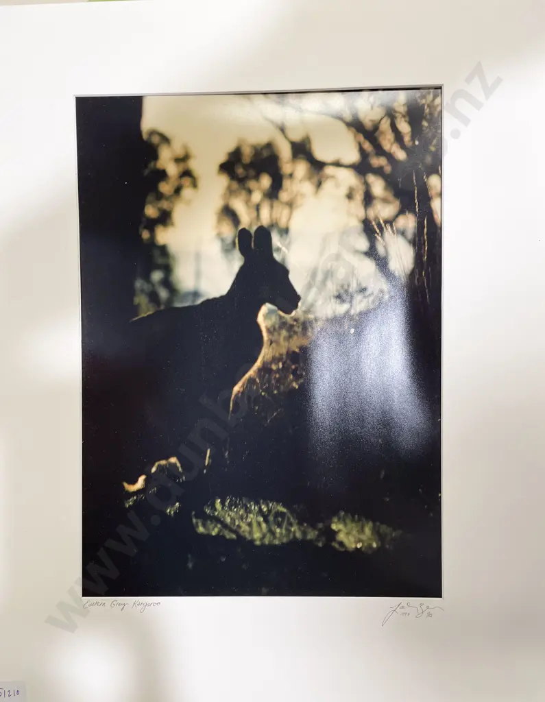 Jacinda Brown - Two Ltd Ed Photographic Works (Unframed) Image 1++