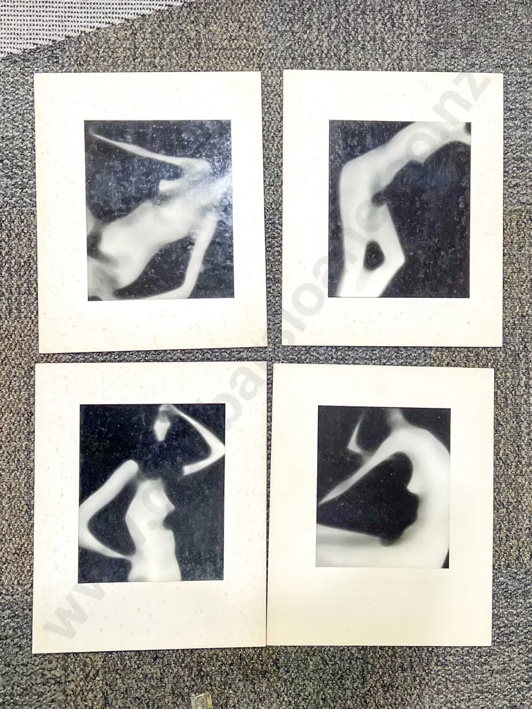 Quantity of Assorted Abstract Photography Works together with Others Image 1++
