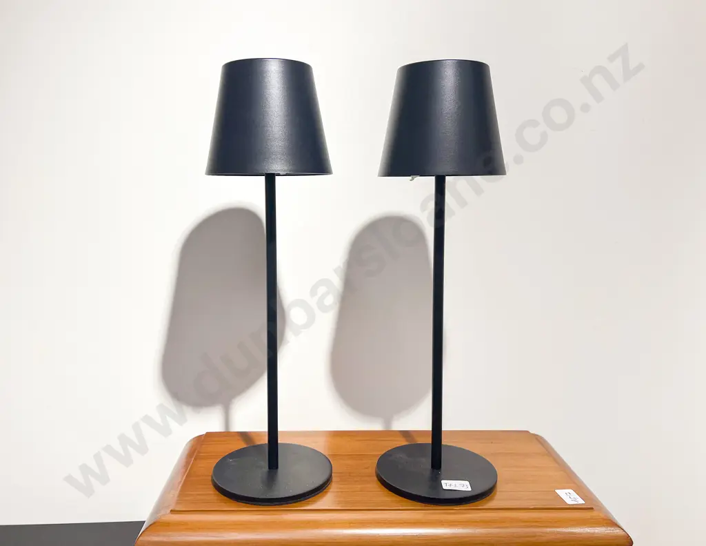 Pair of Modern LED Table Lamps Image 1++