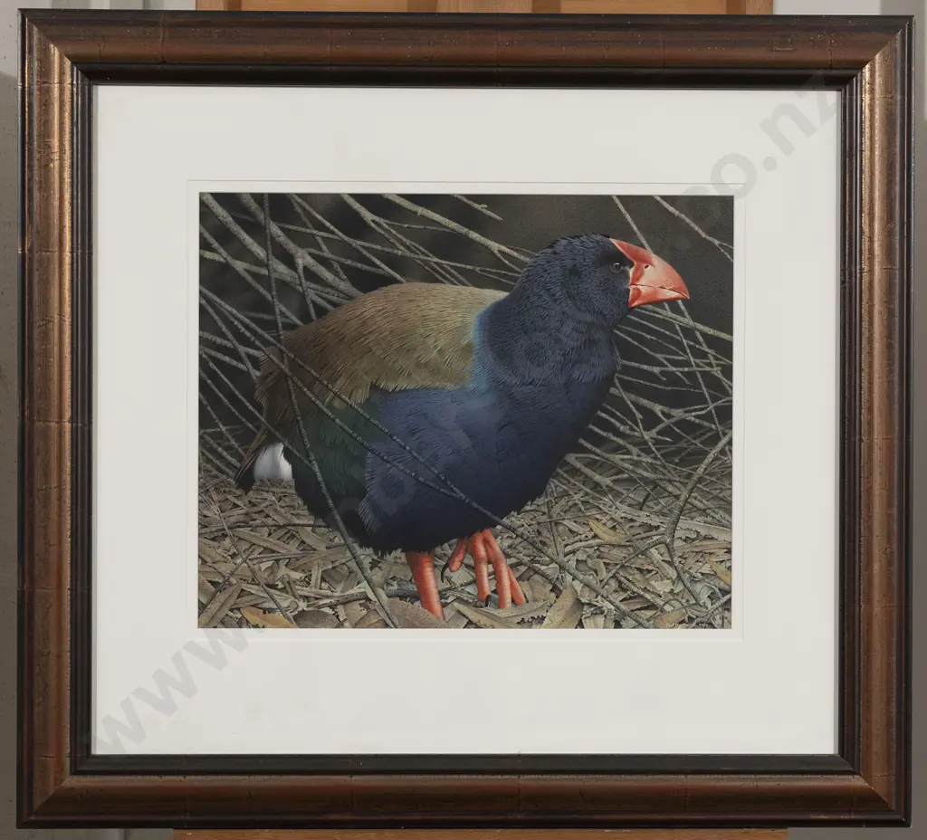 Paul Martinson (b 1956) - Takahe With Fallen Tree Image 1++