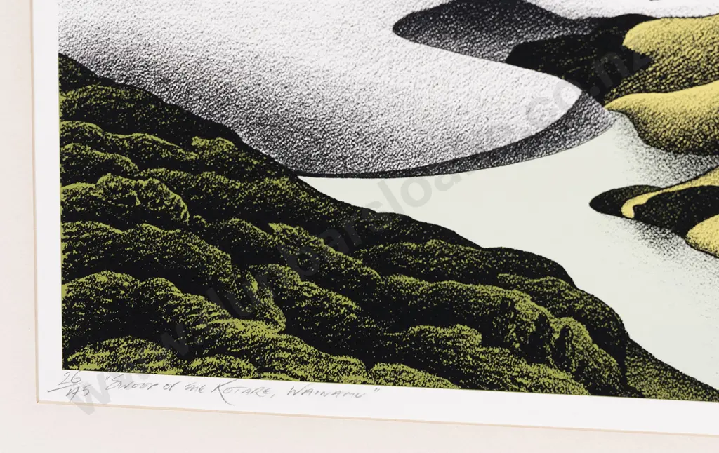 Donald (Don) Binney (1940 - 2012) - Swoop of the Kotare - Waimanu Image 1++