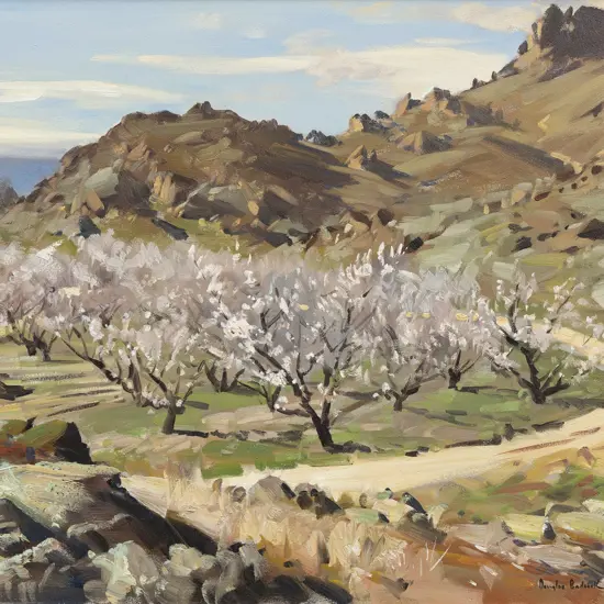 Douglas Badcock (1922 - 2009) - Orchards in Bloom