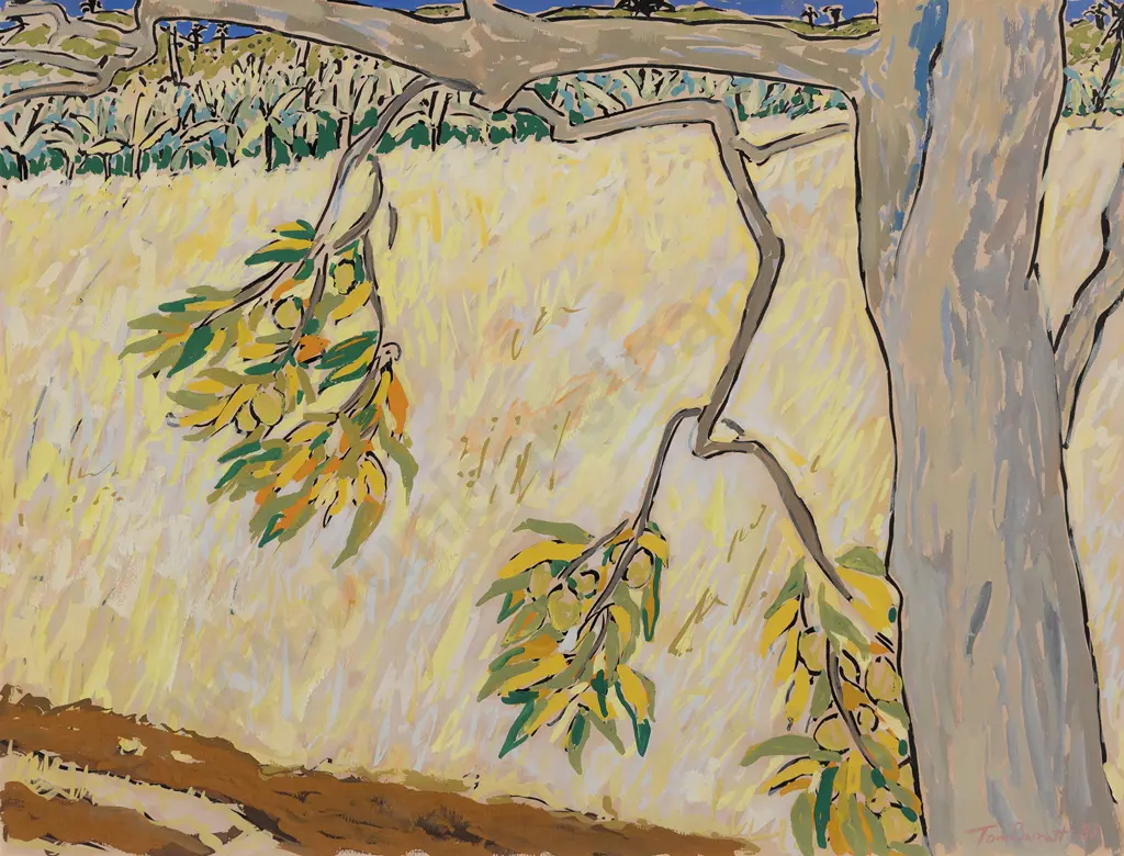 Tom Burnett (b 1958) - Mango Tree Image 1++