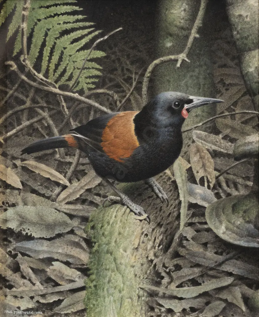 Paul Martinson (b 1956) - Saddleback Image 1++