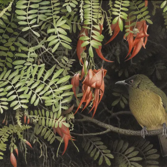 Paul Martinson (b 1956) - Bell Bird