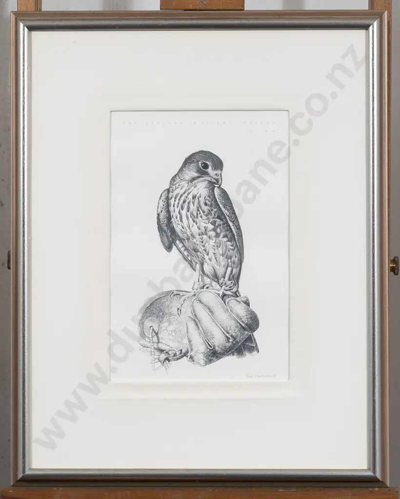 Paul Martinson (b 1956) - NZ Falcon "Liam" Image 1++