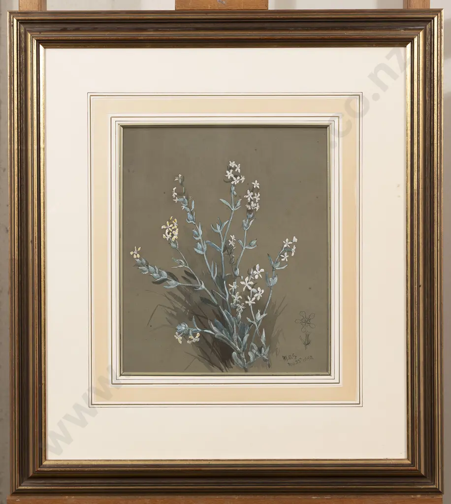 Margaret Olrog Stoddart (1865 - 1934) - Botanical Study Image 1++
