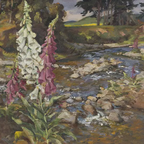 Cedric Savage (1901 - 1969) - Waikanae River