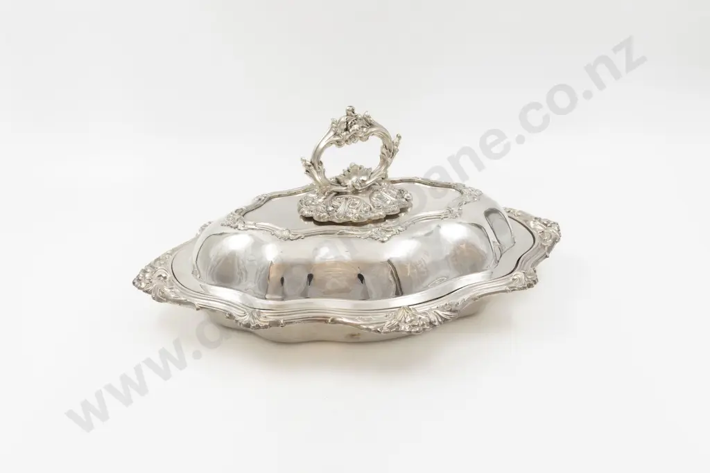 S/P Entree Dish Image 1++