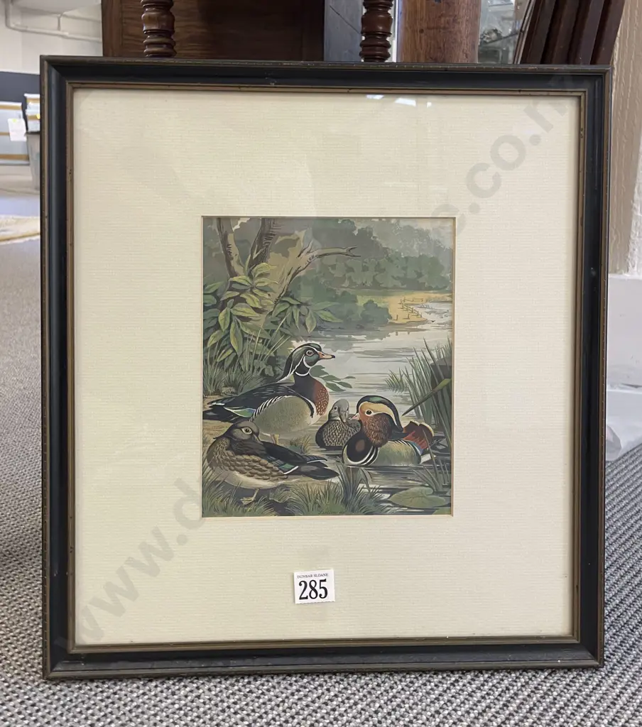 Small Coloured Prints Of Mallard Ducks Image 1++