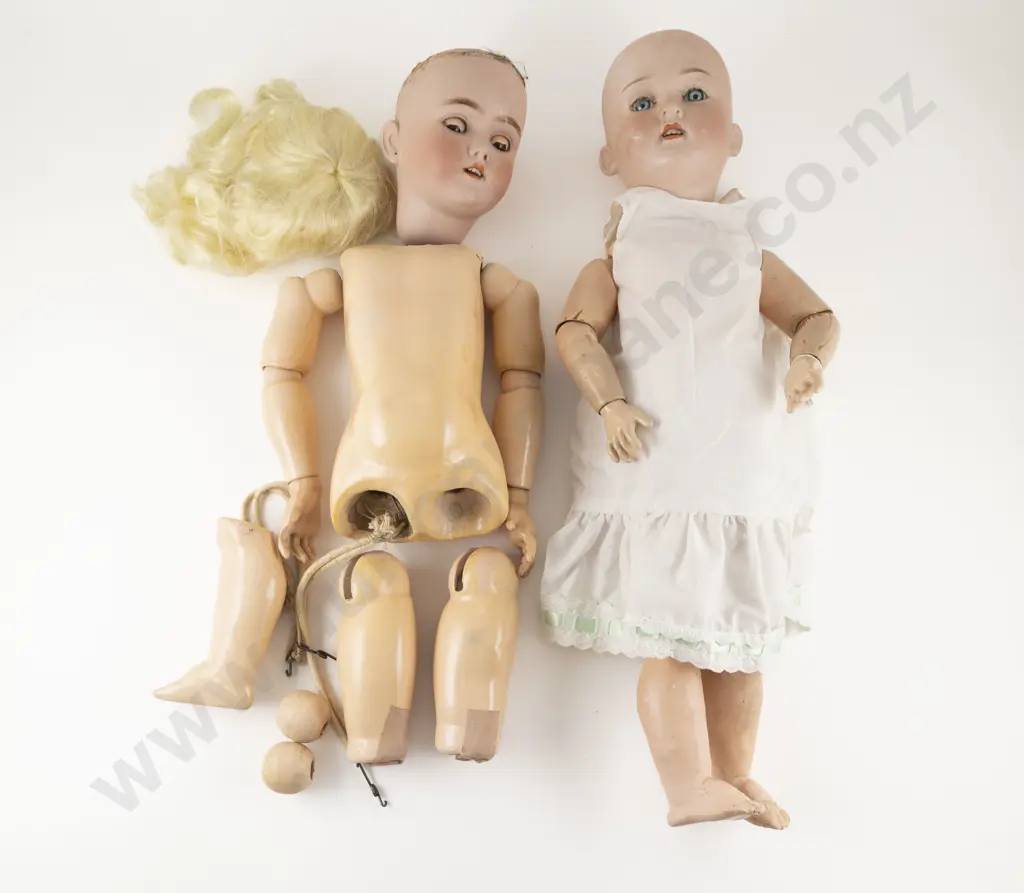Trebor and Handwerck Halbig Bisque Dolls Image 1++