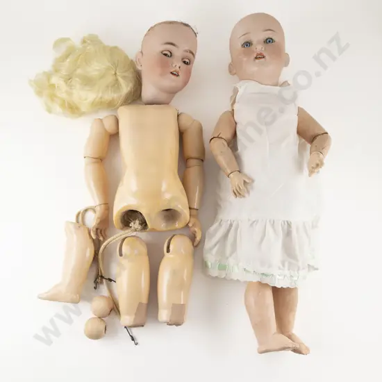 Trebor and Handwerck Halbig Bisque Dolls